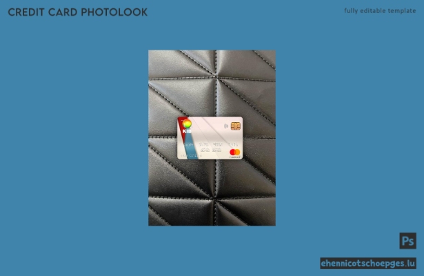 Iraq Kurdistan International Bank Mastercard Photolook Beispielvorschau